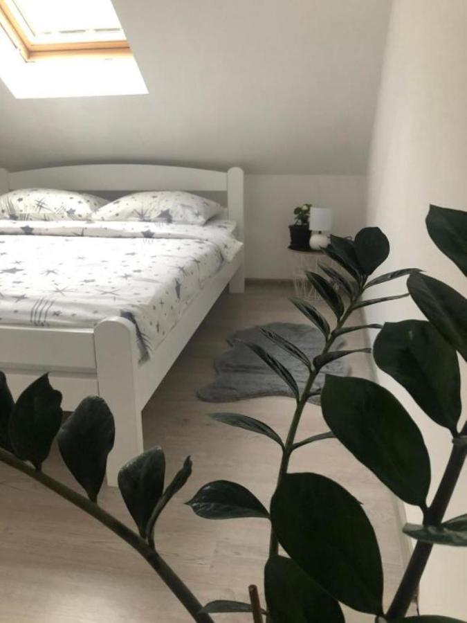 Peaceful Apartment Plužine Ngoại thất bức ảnh